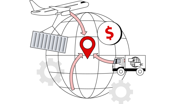 Logiciel d’import/export personnalisé – LMG International